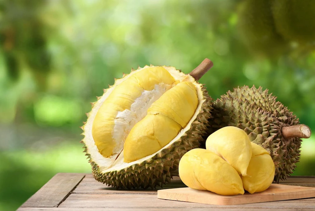 Free Durian Survey 3